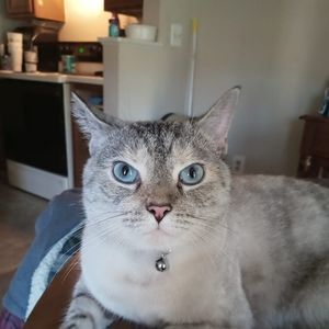 Meet your Posher, Lori